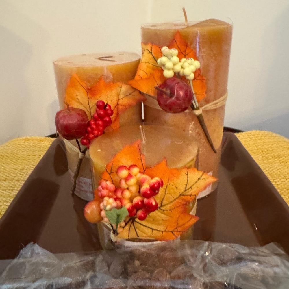 🔴NEW in Box 🔴 Beautiful Fall Table Centerpiece with 3 Candles